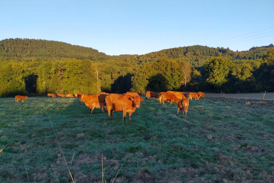Photo of Outdoor in Saint-Julien-le-Petit