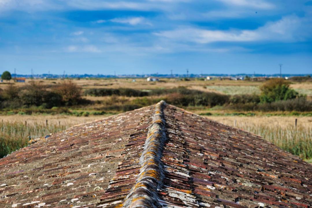 Photo of Buildings in Mauzac