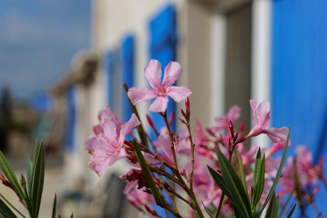 Photo of Others in Mauzac