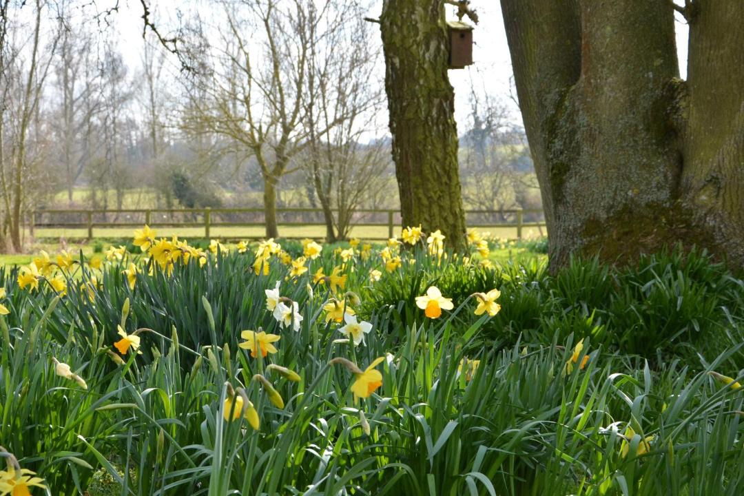 Photo of Others in Martlesham Heath