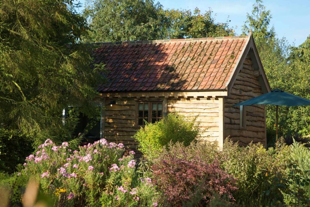 Photo of Buildings in Eye