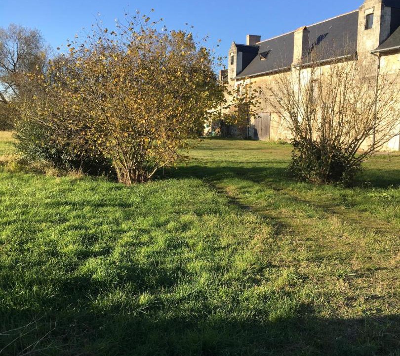 Photo of Buildings in Boce