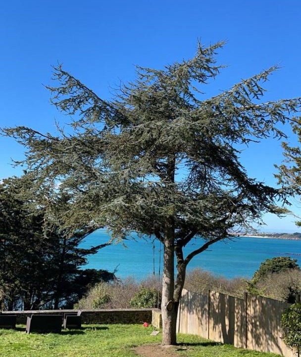 Photo of Others in Lancieux