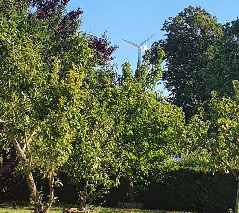 Photo of Outdoor in Echinghen