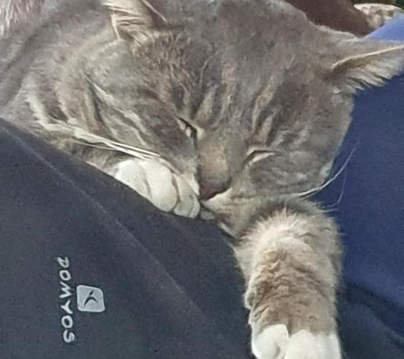 Photo of Others in Echinghen