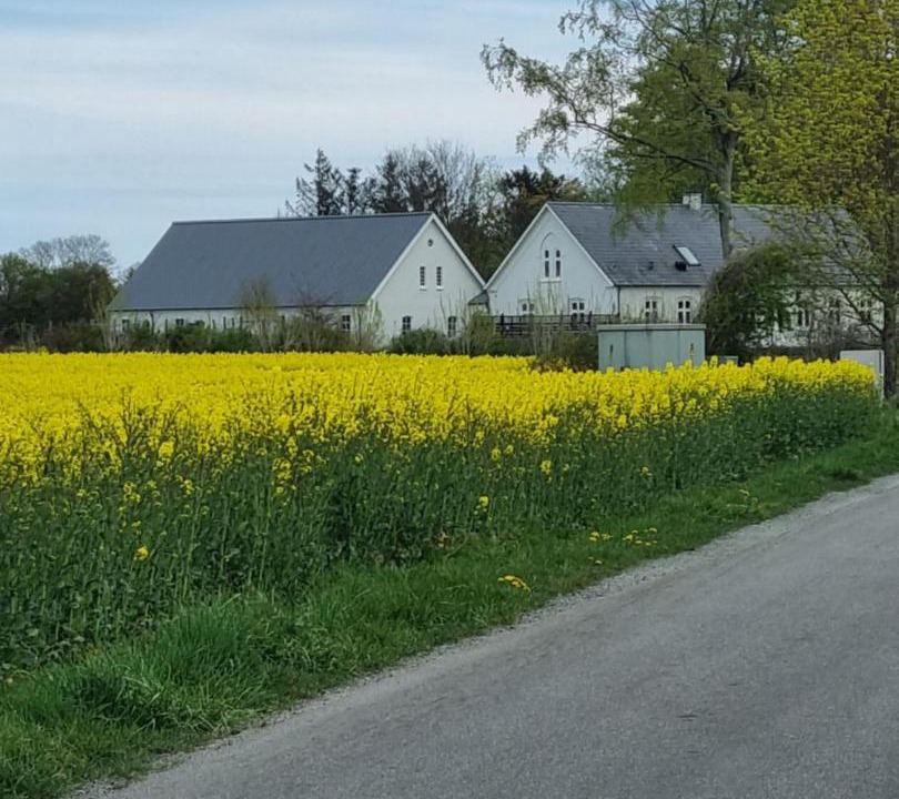 Photo of Others in Otterup