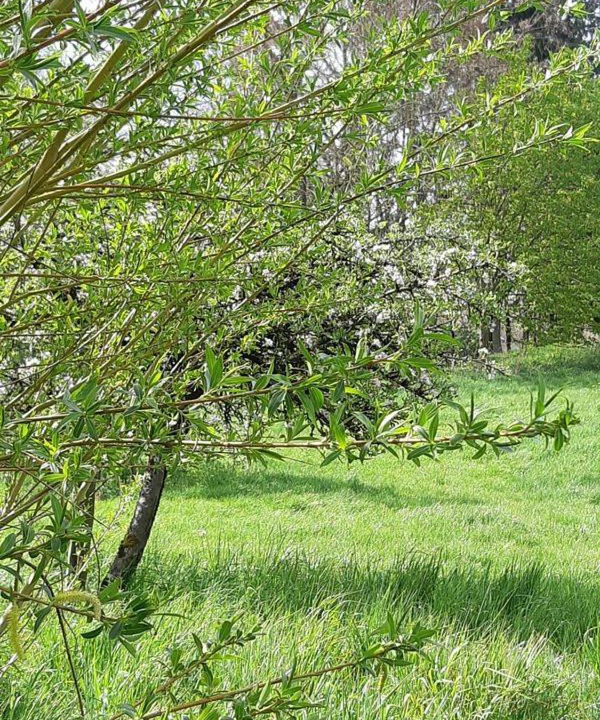 Photo of Others in Courchaton