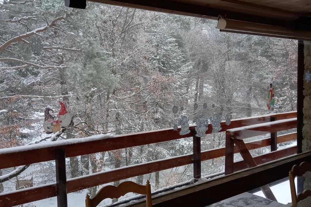 Photo of Bedroom in Mont Serein