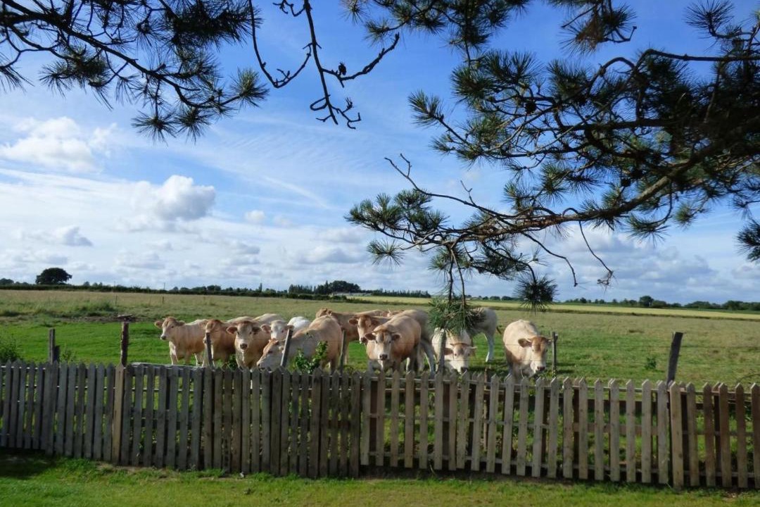 Photo of Others in Le Bernard