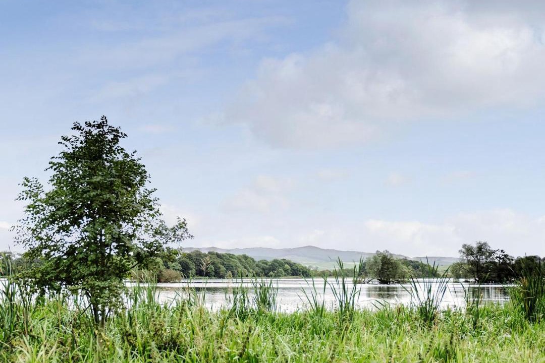 Photo of Others in Castle Douglas