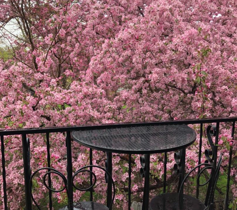 Photo of Patio Balcony in Cody