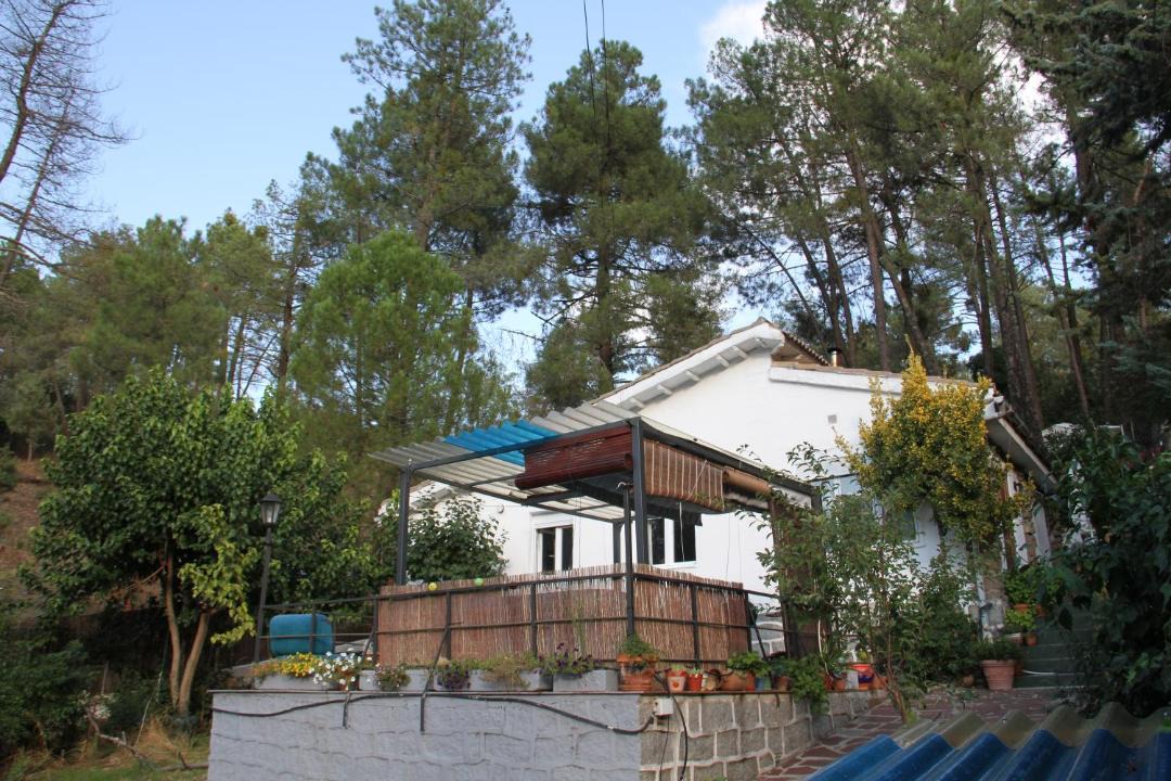 Photo of Others in El Pimpollar