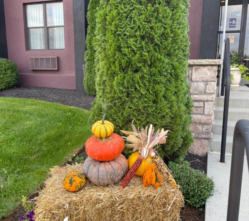 Photo of Others in Cheyney