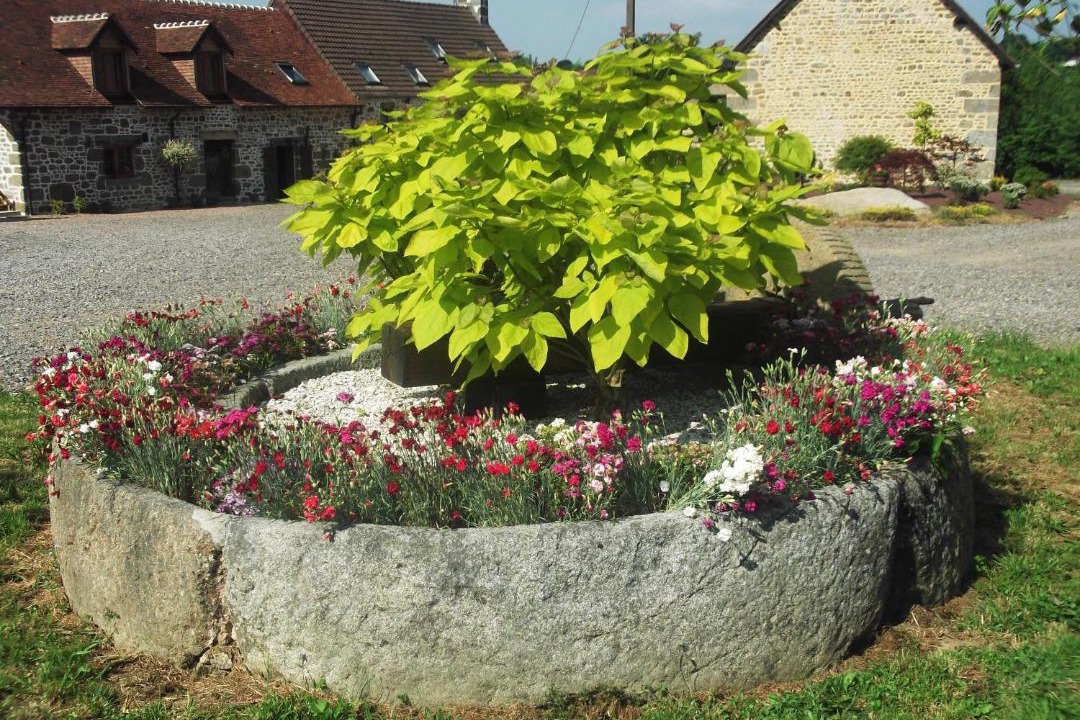 Photo of Others in Sainte-Marguerite-de-Carrouges