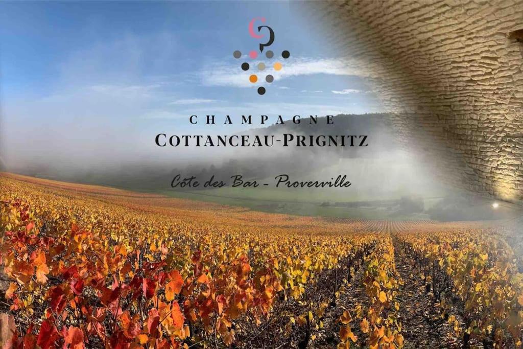 Photo of Others in Proverville