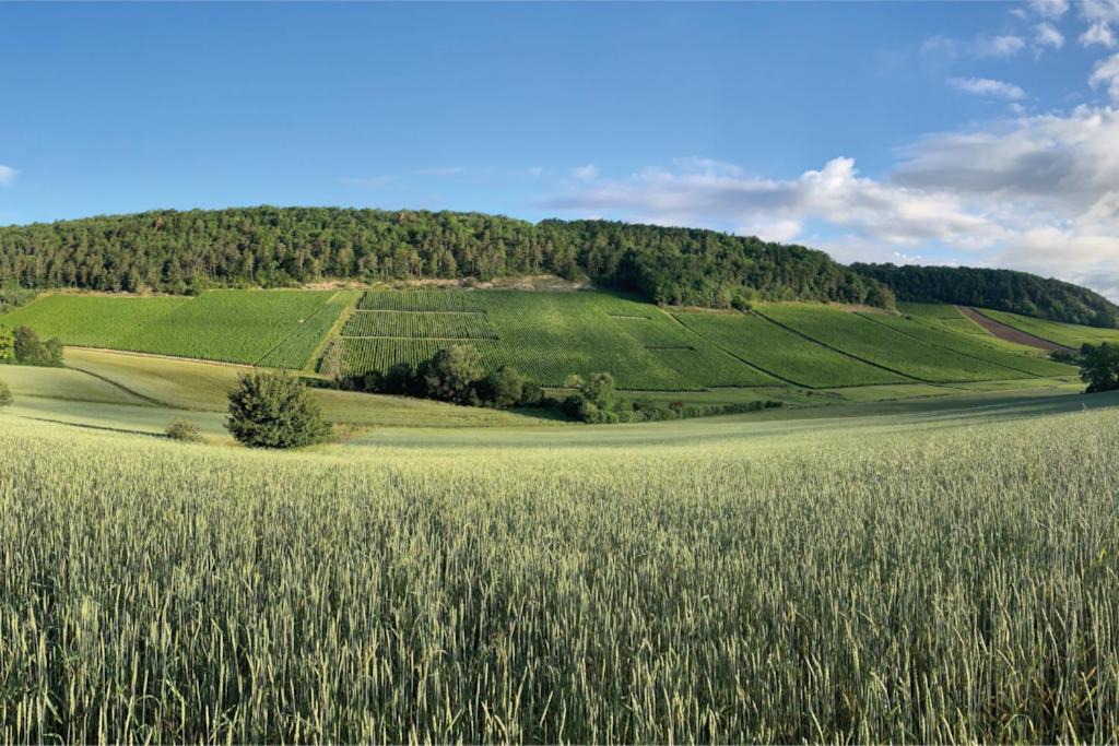 Photo of Others in Proverville