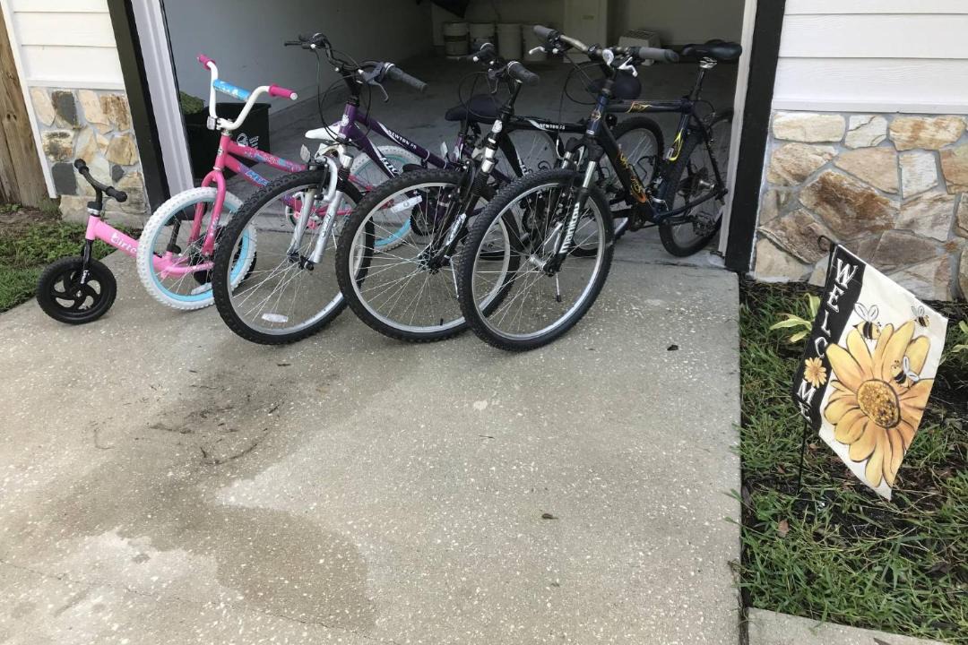 Photo of Others in Green Cove Springs