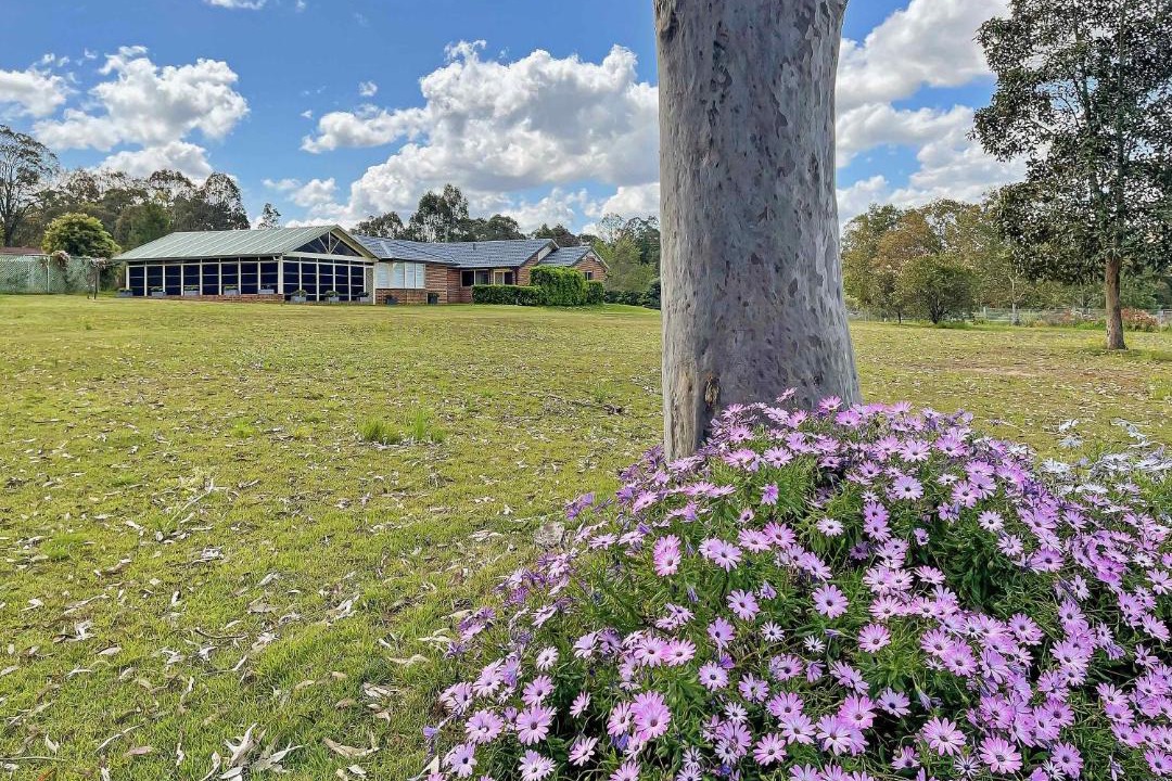 Photo of Others in Branxton