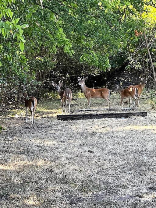 Photo of Others in Belton