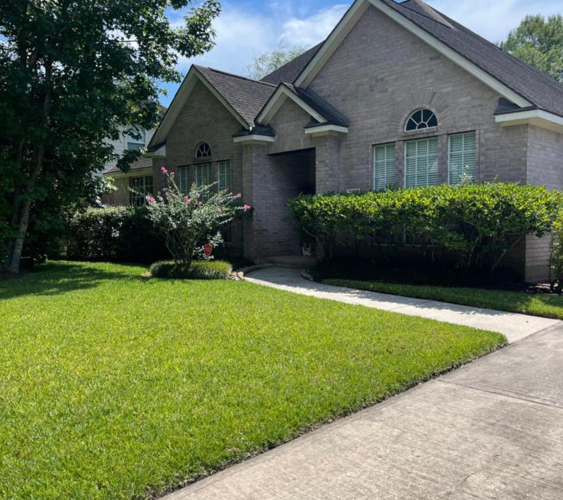Photo of Buildings in Atascocita