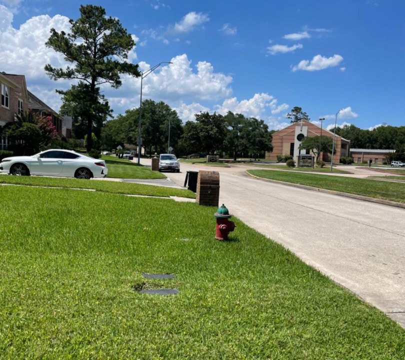 Photo of Others in Atascocita