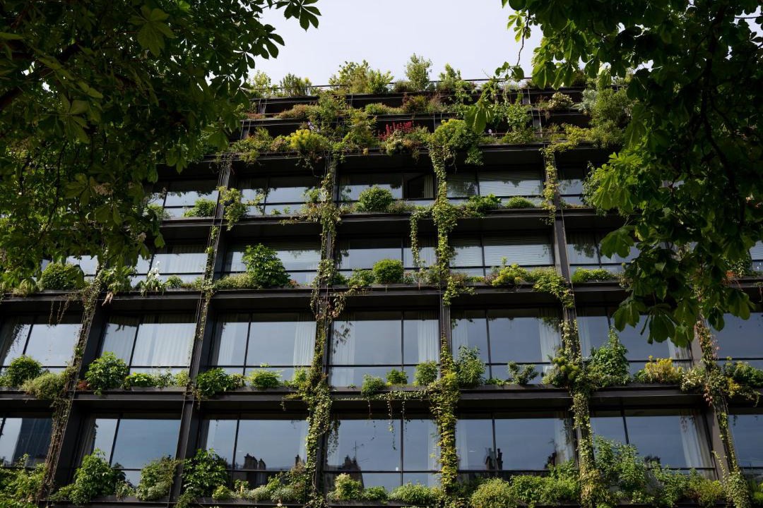 Photo of Others in Necker