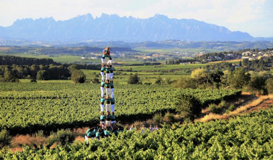 Photo of Outdoor in Vilafranca del Penedes