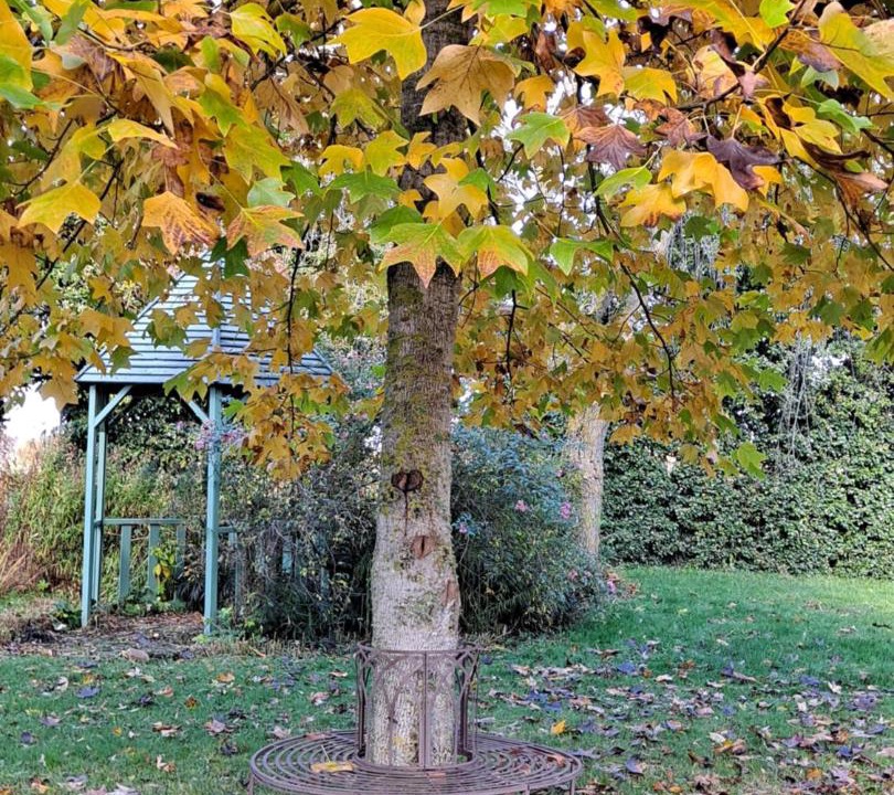 Photo of Outdoor in Moulins-sur-Orne
