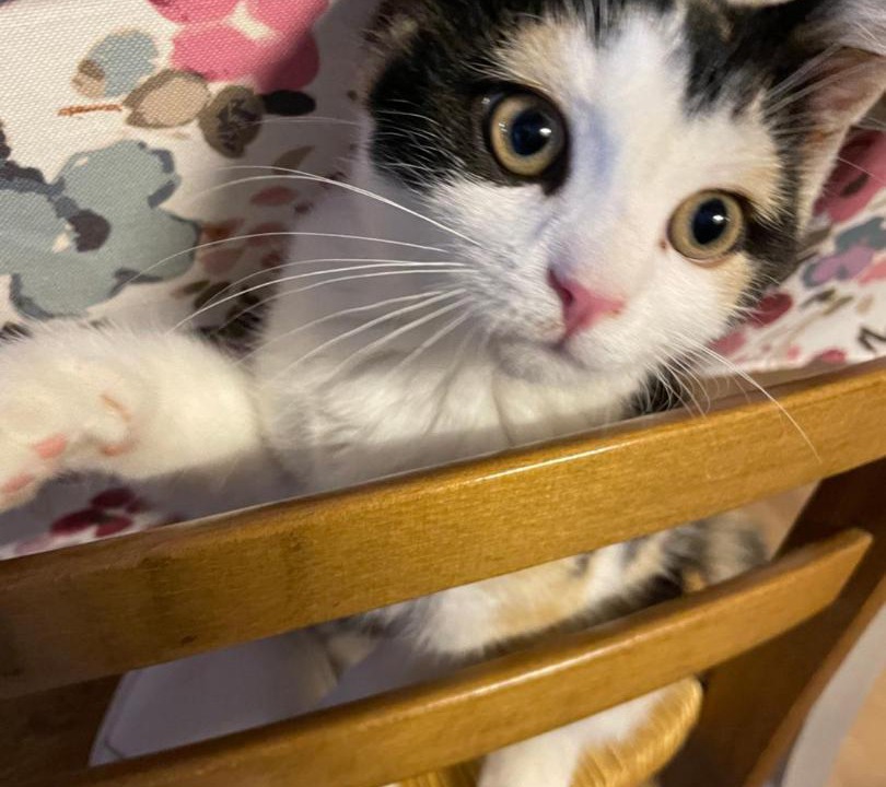 Photo of Others in Pontmain