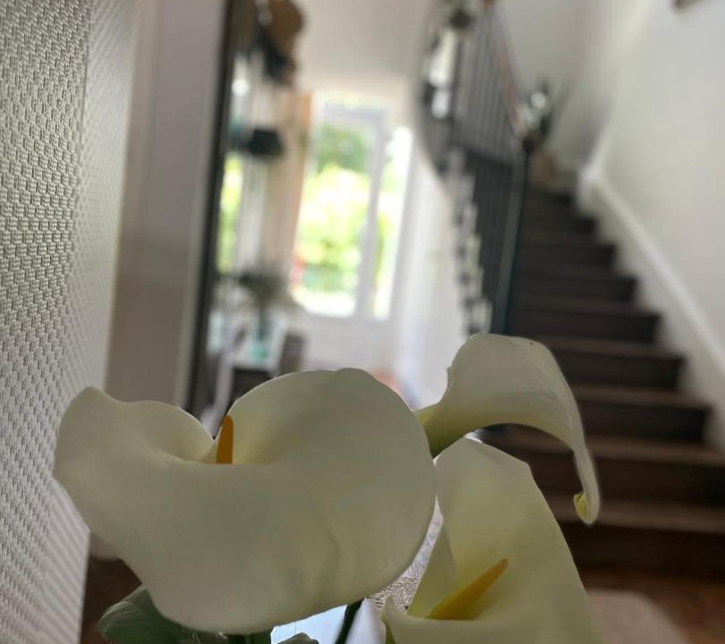 Photo of Others in Pontmain