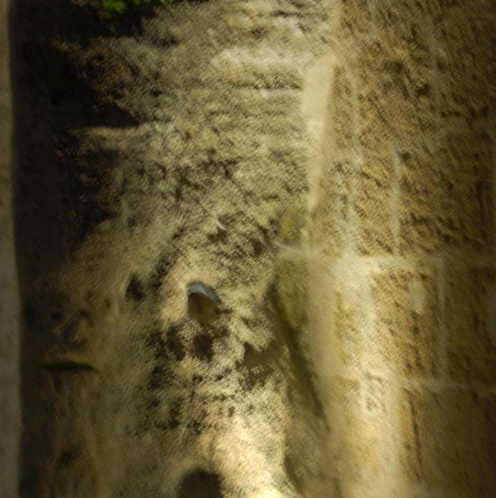 Photo of Others in Louresse-Rochemenier