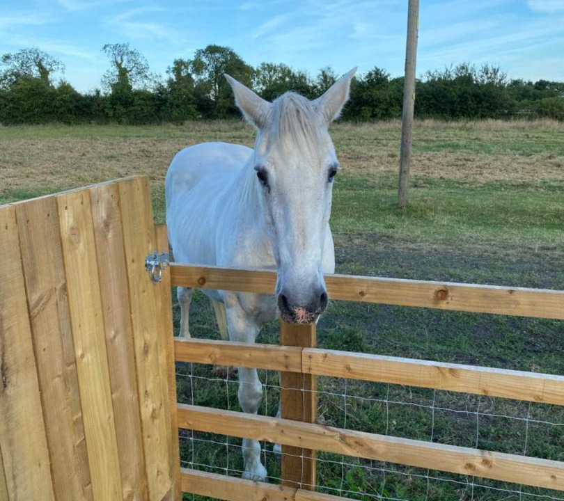 Photo of Others in Thirsk