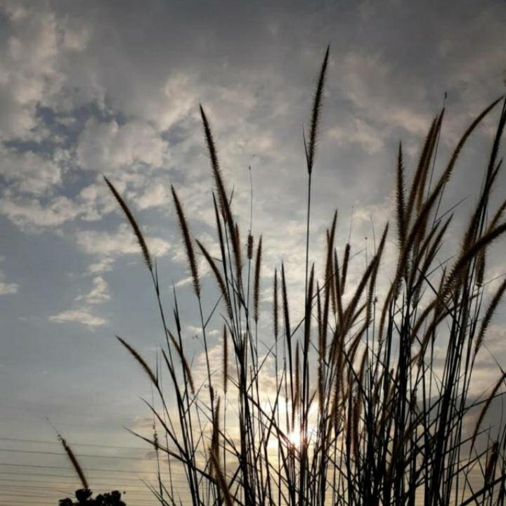 Photo of Others in Malacca City