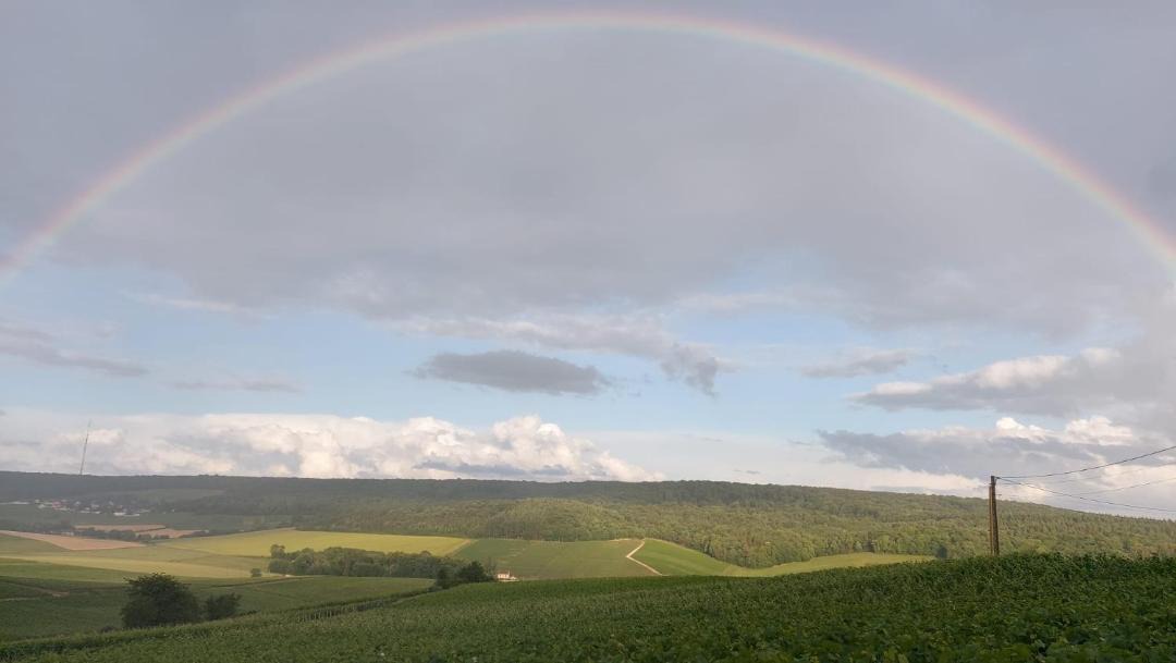 Photo of Others in Fleury-la-Riviere