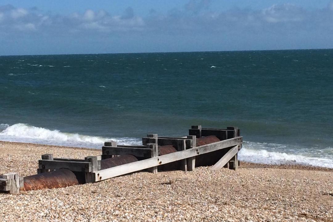 Photo of Others in Pagham