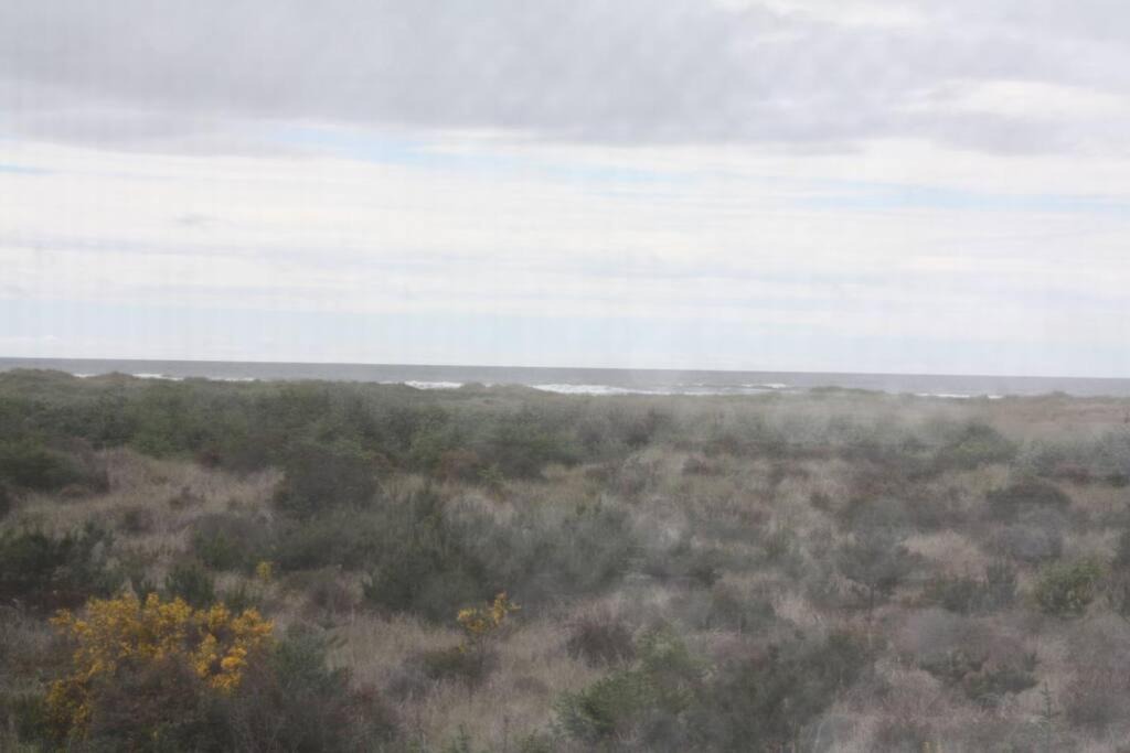 Photo of Outdoor in Copalis Beach