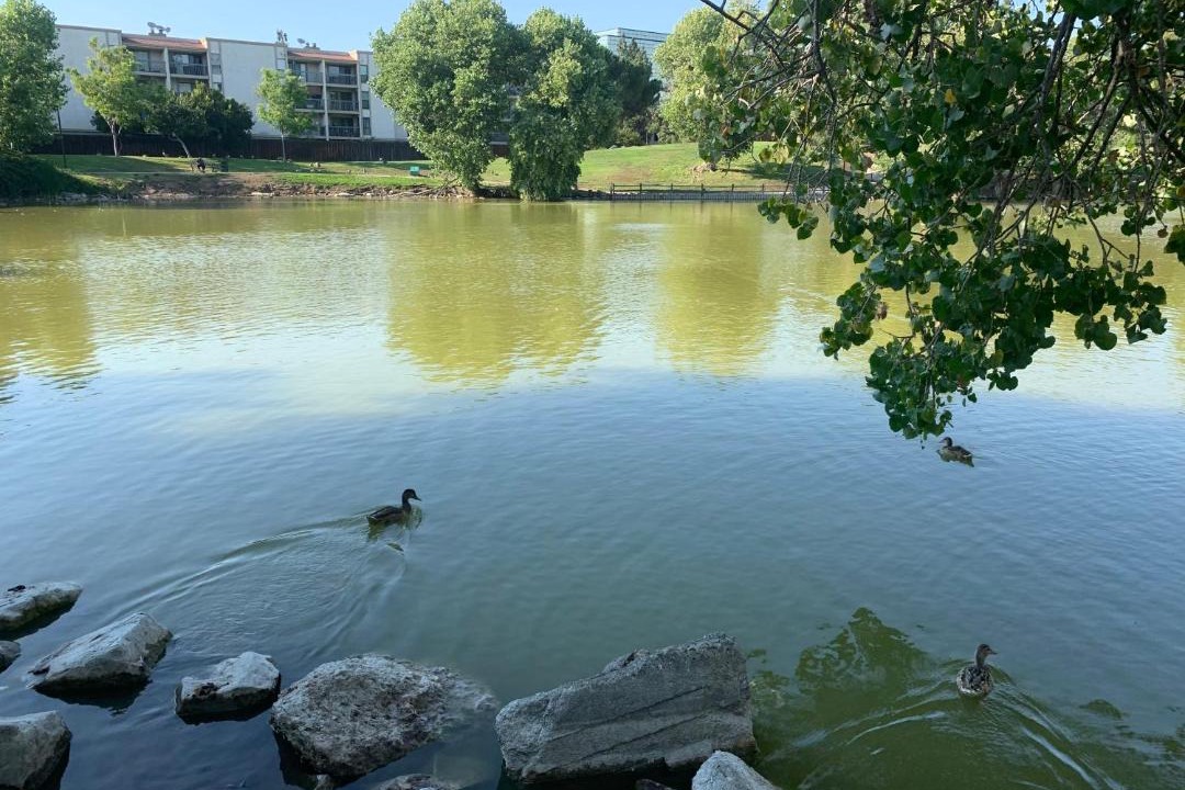 Photo of Outdoor in Concord