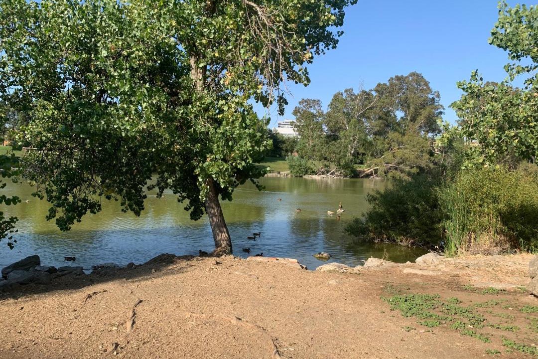 Photo of Outdoor in Concord