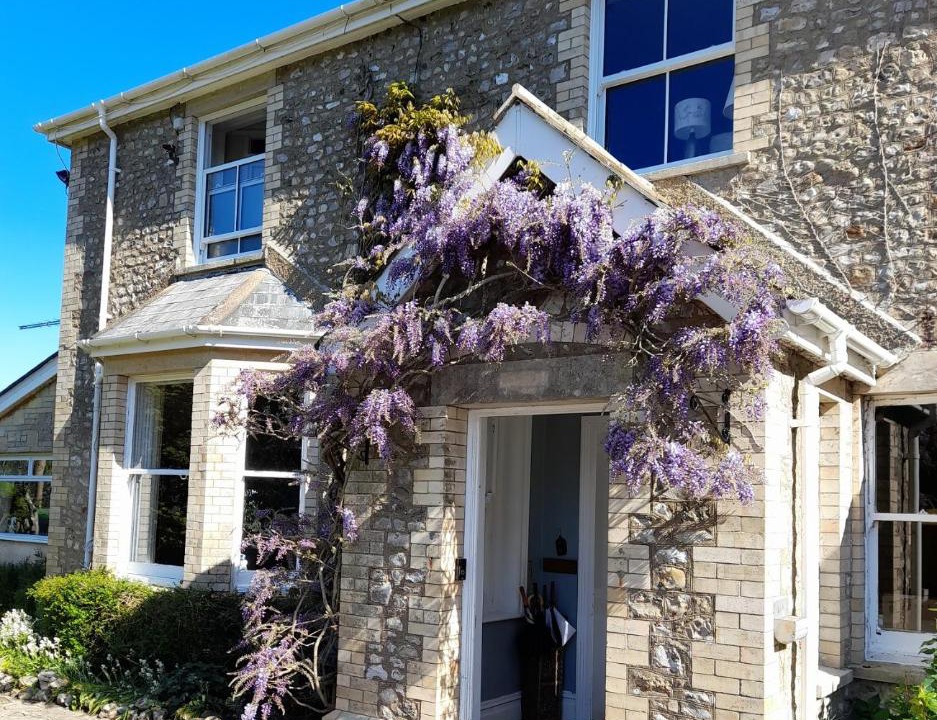 Photo of Others in Hawkchurch