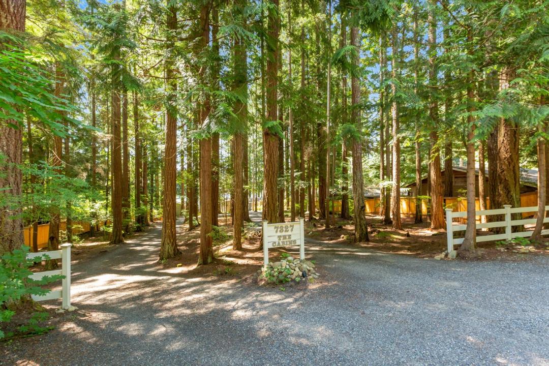 Photo of Others in Fall City