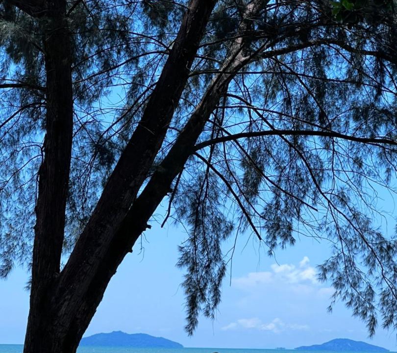 Photo of Others in Mersing