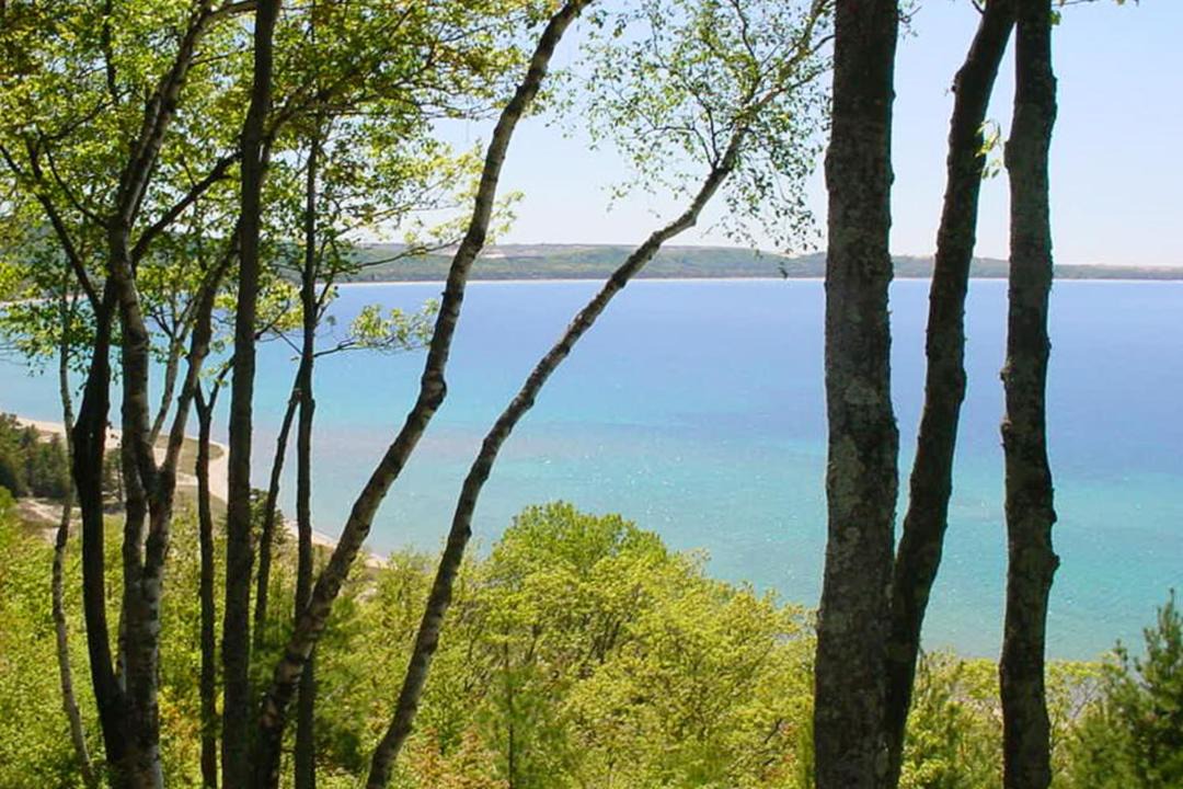 Photo of Outdoor in Maple City