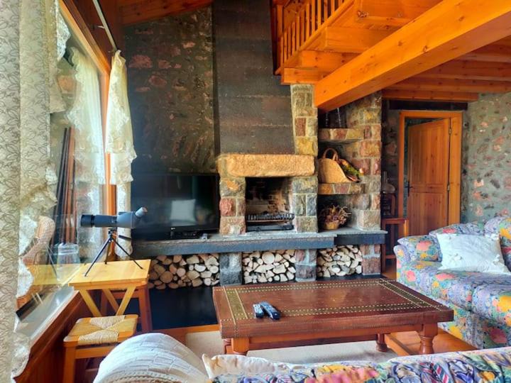Photo of Livingroom in Cava