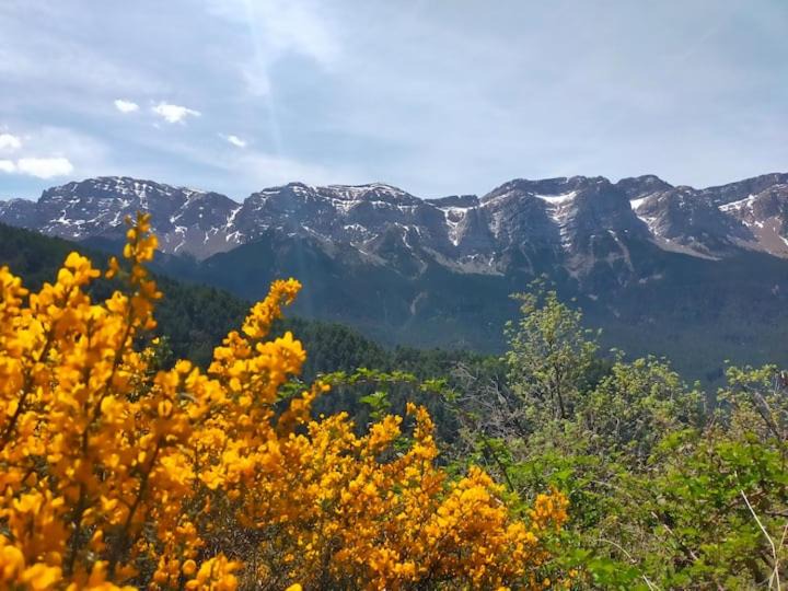 Photo of Outdoor in Cava