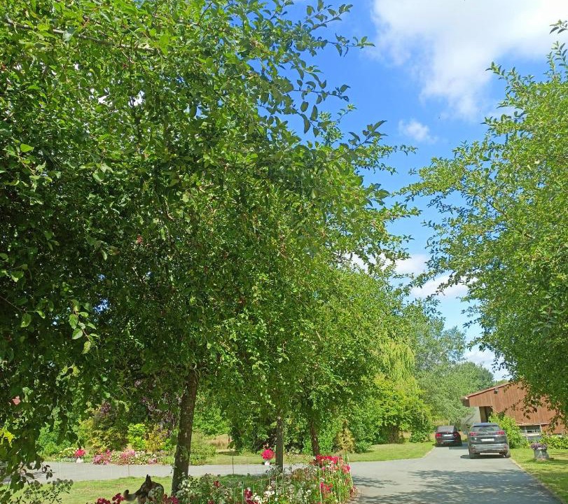 Photo of Outdoor in Verlinghem