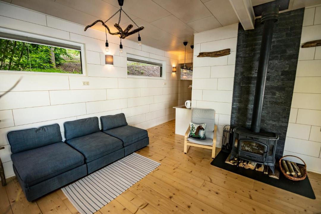 Photo of Livingroom in Lesnoe