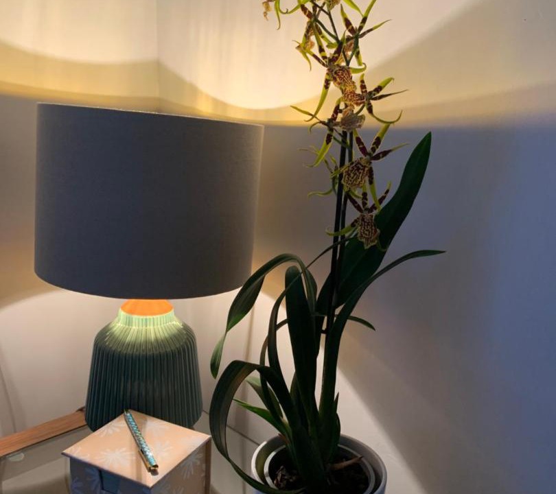 Photo of Others in Salisbury