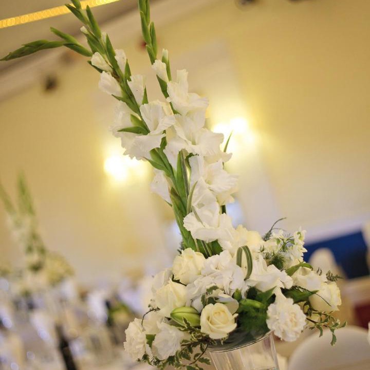 Photo of Others in Letchworth