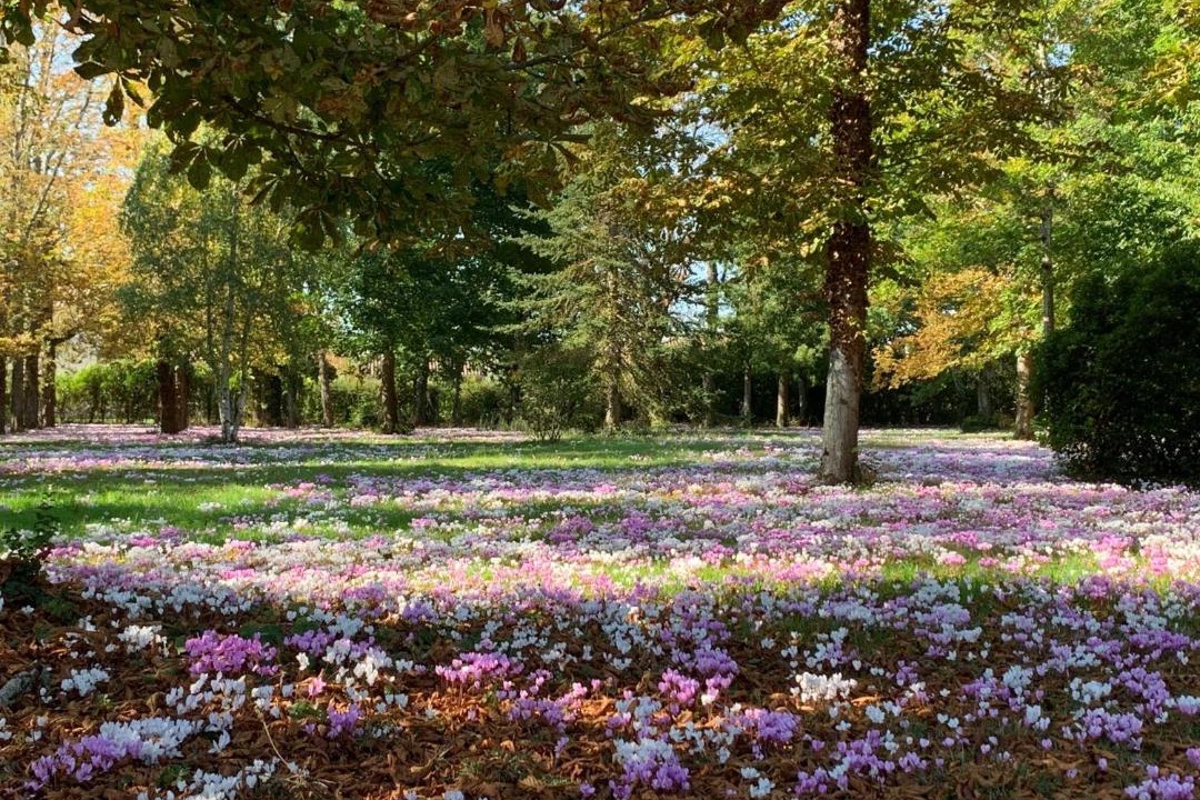 Photo of Outdoor in Montamise