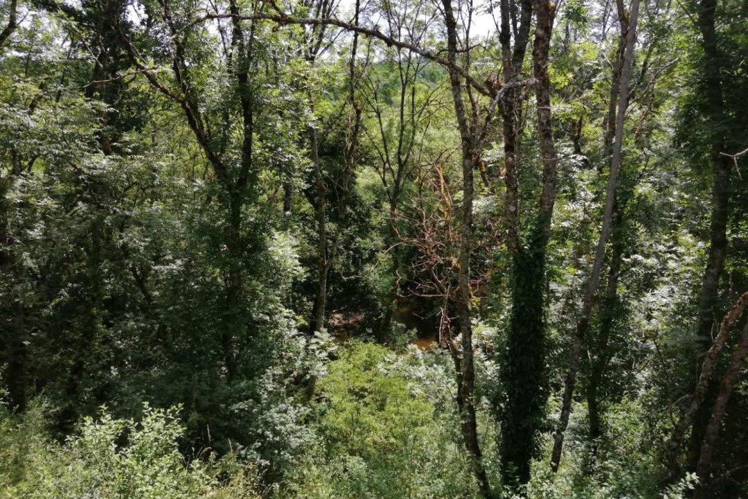 Photo of Outdoor in Epiry